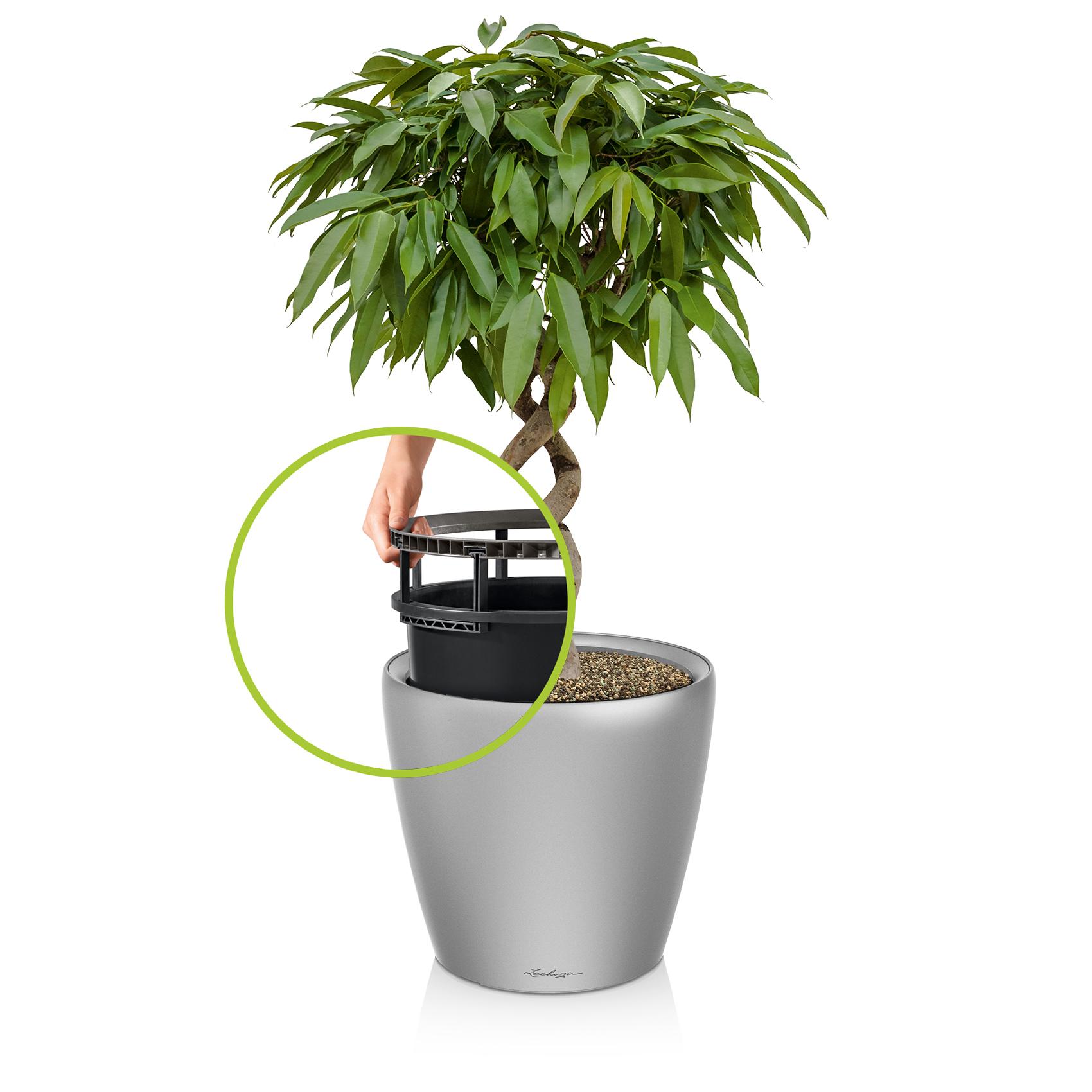 CLASSICO LS 21 silver metallic